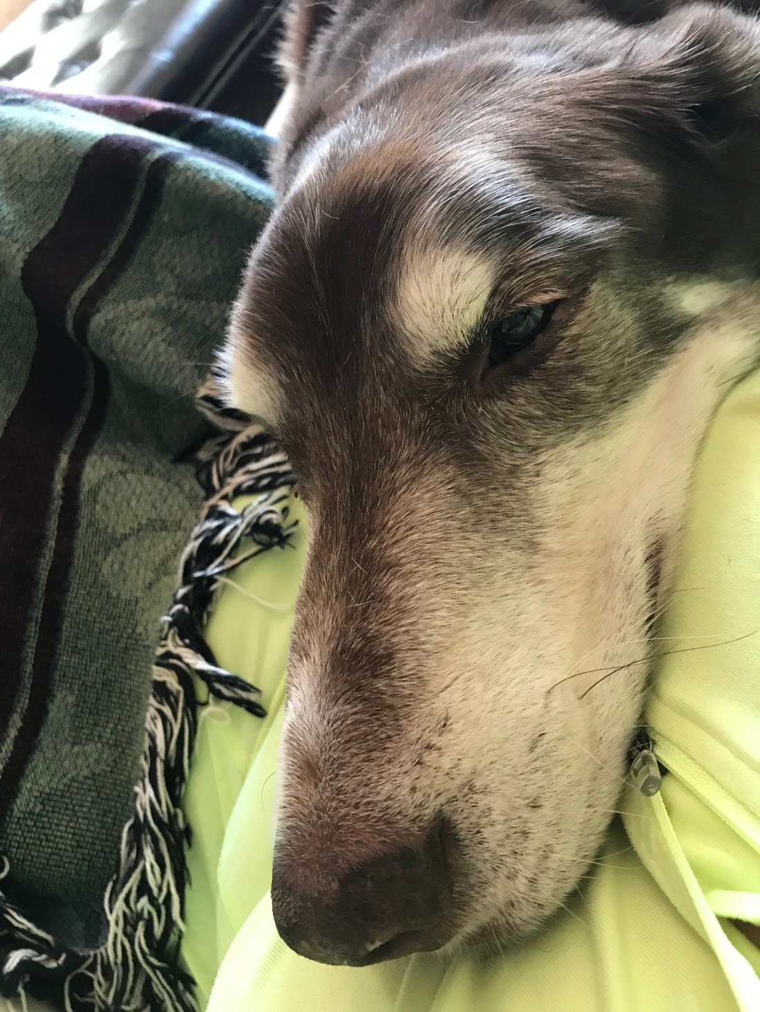 12CED5D2-EDD9-4952-90C3-C1FEBE737840