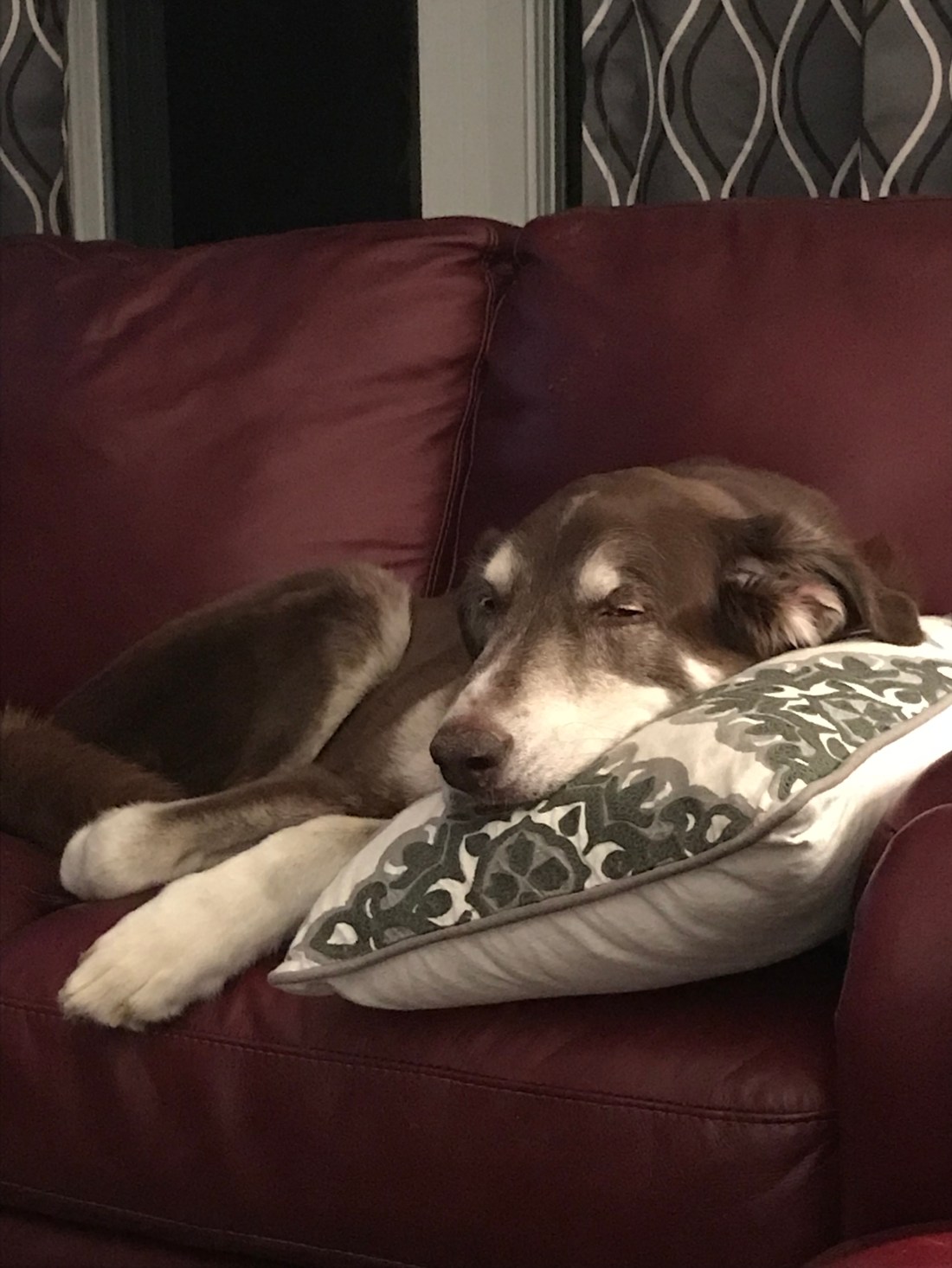 516EBC52-146D-4DC4-88AB-F80F11E0ACEF