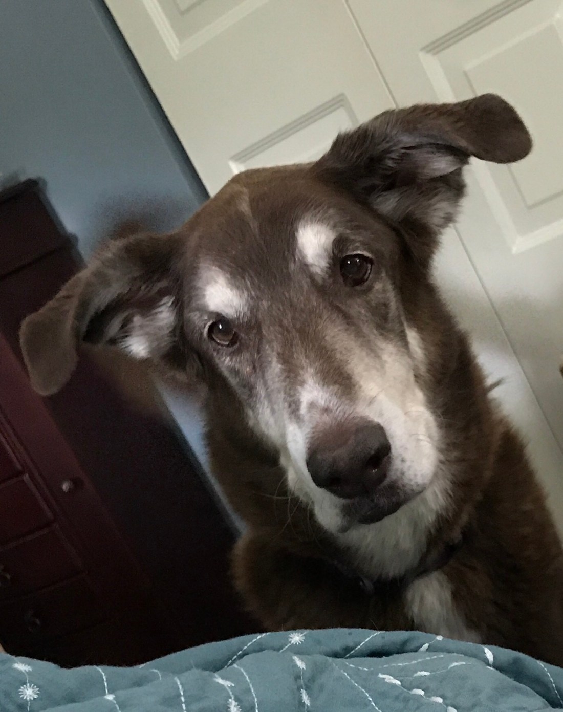 DA78CA00-F468-4AB4-9F0F-3CABB34B4DB6