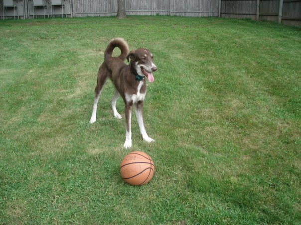 B5D45AA4-69BB-46CD-A427-B555EB327316